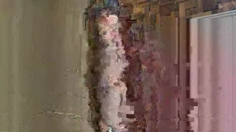 Snapshot of noodsovernudes chatting on May 26, 2026, 2:46 pm NoodsOverNudes online show from May 26, 2026, 2:46 pm
