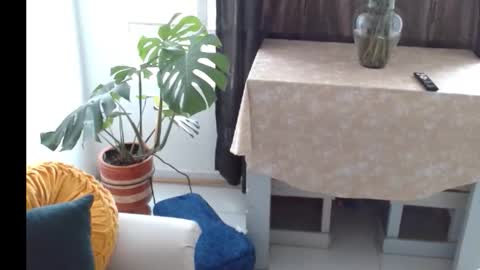 novaperotti online show from November 5, 2025, 6:41 pm