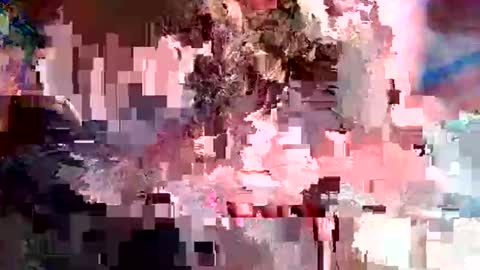 nxrmvljxn online show from December 1, 2025, 2:49 am