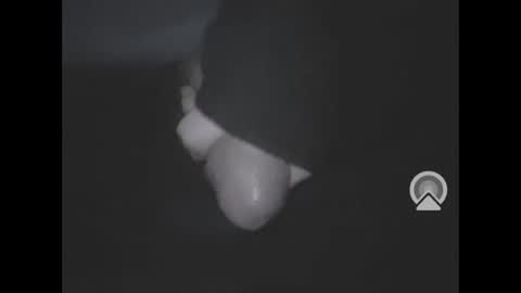 nympham online show from March 18, 2026, 7:33 am