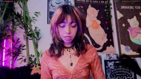   online show from March 25, 2026, 7:42 pm