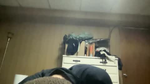 Snapshot of nyyanks232 chatting on March 22, 2026, 5:55 am harvestmoon online show from March 22, 2026, 5:55 am