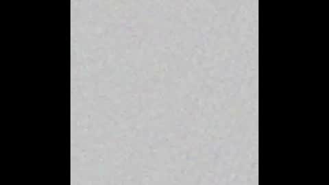 Obsidian stallion online show from October 9, 2025, 2:53 am