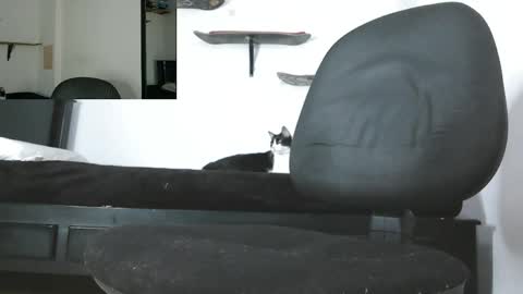 Zack online show from May 13, 2026, 3:48 am