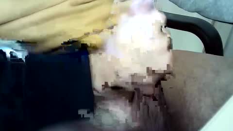 officersex y online show from November 23, 2025, 1:33 pm