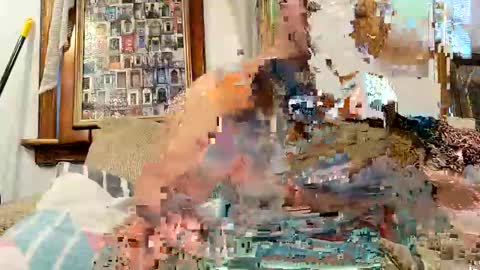 oknpc online show from December 7, 2024, 12:35 pm