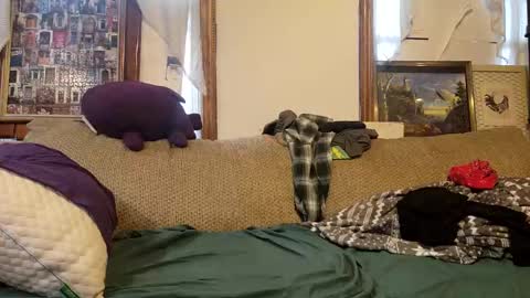 oknpc online show from January 29, 2025, 12:35 pm