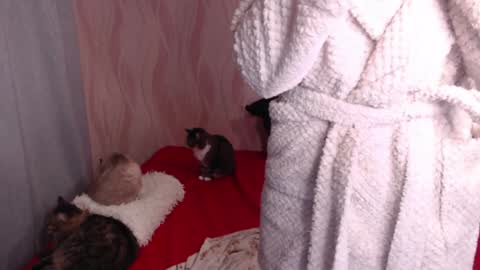 Snapshot of olivia_redd chatting on December 31, 2024, 12:32 am Olivia online show from December 31, 2024, 12:32 am