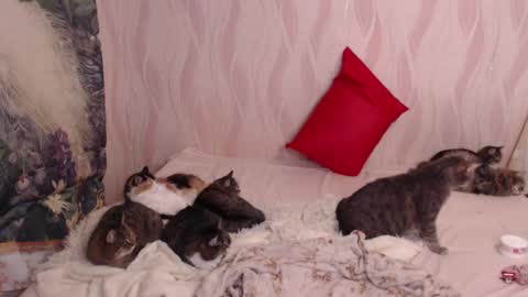 Snapshot of olivia_redd chatting on March 4, 2025, 11:00 pm Olivia online show from March 4, 2025, 11:00 pm