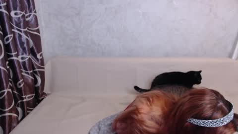 Snapshot of olivia_redd chatting on September 14, 2025, 1:49 am Olivia online show from September 14, 2025, 1:49 am