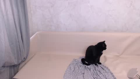 Snapshot of olivia_redd chatting on October 5, 2025, 11:41 am Olivia online show from October 5, 2025, 11:41 am