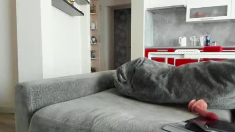 Snapshot of oliviamuur chatting on March 31, 2026, 7:42 am oliviamuur online show from March 31, 2026, 7:42 am