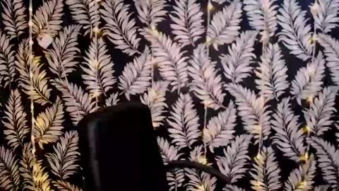 Kelly online show from January 6, 2025, 12:13 pm