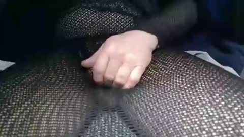 olli_5 online show from February 8, 2025, 9:24 am