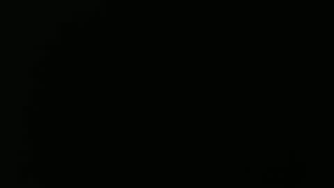 olli_5 online show from February 13, 2025, 11:17 am