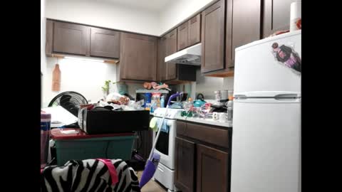 Snapshot of opalockajoe chatting on February 3, 2025, 4:41 pm TsJojo online show from February 3, 2025, 4:41 pm