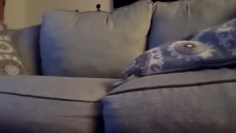 openmind_holes online show from January 29, 2025, 6:01 am