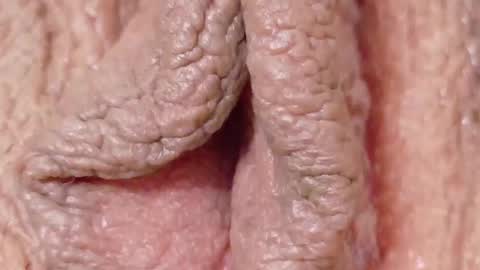 orchidekitty online show from February 1, 2026, 9:13 pm