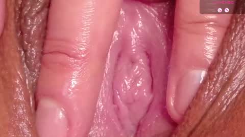 orchidekitty online show from July 17, 2026, 11:53 pm