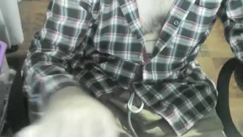 Ore online show from January 20, 2025, 12:46 am