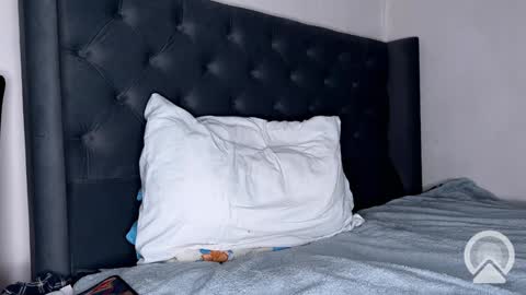 Snapshot of origamicat chatting on January 26, 2025, 12:22 pm origamicat online show from January 26, 2025, 12:22 pm