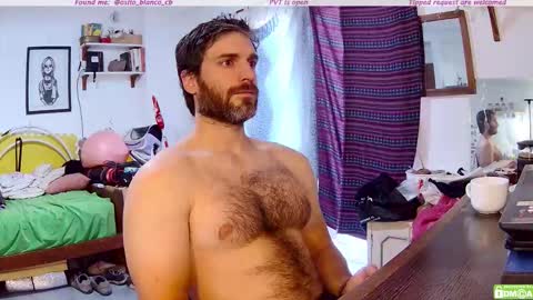 Osito Blanco online show from December 4, 2025, 11:19 am