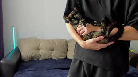 Ostin online show from March 6, 2026, 8:44 am