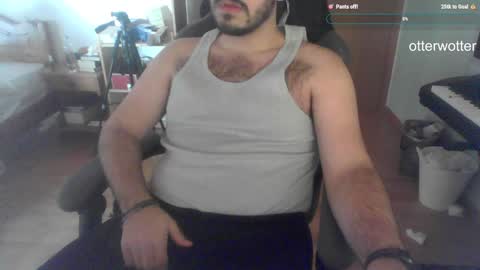 Snapshot of otterwotter chatting on December 27, 2024, 1:50 pm Wotter online show from December 27, 2024, 1:50 pm