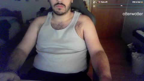 Snapshot of otterwotter chatting on January 13, 2025, 3:58 pm Wotter online show from January 13, 2025, 3:58 pm