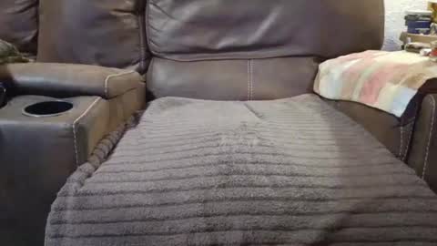 outdoorsmanmark71 online show from September 10, 2025, 9:59 pm