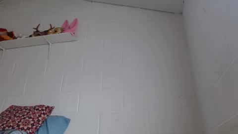 Jeannifer online show from February 24, 2026, 12:47 pm