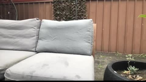 Hrny aussie surfer online show from September 27, 2025, 12:59 am