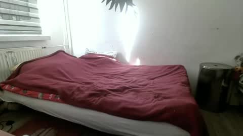 p83291869 online show from March 3, 2026, 9:26 am