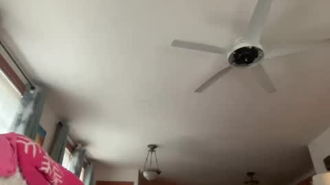 Snapshot of paisleysnowxo chatting on October 29, 2025, 5:36 pm paisleysnowxo online show from October 29, 2025, 5:36 pm