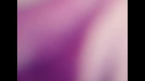   PALA online show from March 3, 2025, 8:16 am