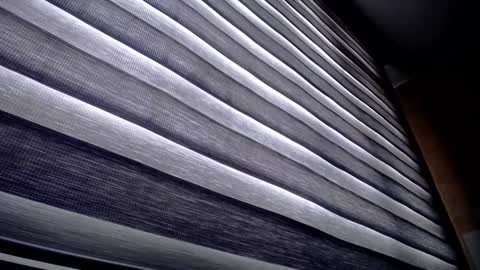 Snapshot of palmer_mix chatting on December 9, 2024, 1:24 pm Palmer online show from December 9, 2024, 1:24 pm