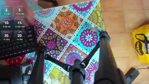 PALOMA 3 online show from November 24, 2025, 11:10 am