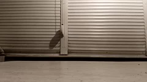 angel hris online show from February 25, 2026, 4:27 pm