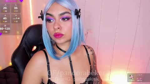 Snapshot of pandorabeker chatting on December 13, 2024, 11:06 pm    online show from December 13, 2024, 11:06 pm