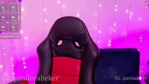 Snapshot of pandorabeker chatting on February 9, 2025, 4:40 pm    online show from February 9, 2025, 4:40 pm