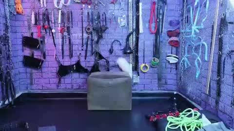 Snapshot of pandoranez chatting on February 14, 2025, 11:10 am PandoraNez online show from February 14, 2025, 11:10 am