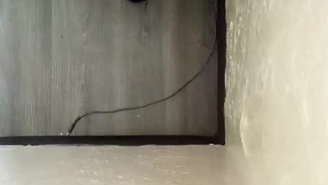 Snapshot of pantieplaytime52532 chatting on December 25, 2024, 5:16 am pantieplaytime52532 online show from December 25, 2024, 5:16 am