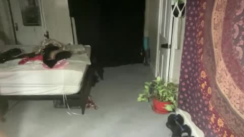 Snapshot of pantiesofthefae chatting on February 21, 2025, 12:16 am Pantiesofthefae online show from February 21, 2025, 12:16 am