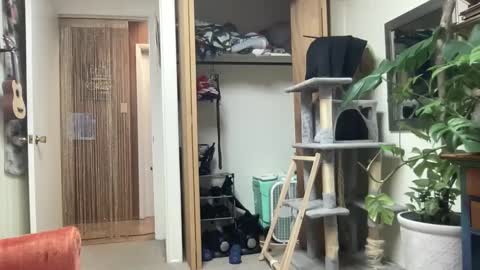 Snapshot of pantiesofthefae chatting on October 13, 2025, 9:53 am Pantiesofthefae online show from October 13, 2025, 9:53 am