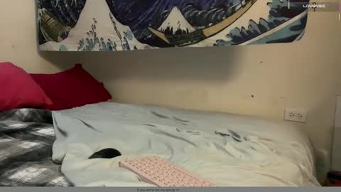 PantsLessTraveler online show from December 16, 2025, 6:24 pm