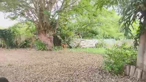 Snapshot of paoguerrax354 chatting on July 21, 2026, 3:14 pm paoguerrax354 online show from July 21, 2026, 3:14 pm