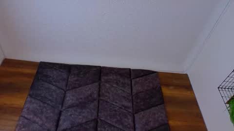 PARIS online show from February 18, 2026, 8:16 pm