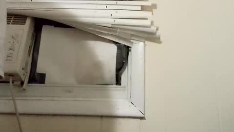 Snapshot of pato0008 chatting on December 17, 2024, 11:27 pm JD online show from December 17, 2024, 11:27 pm