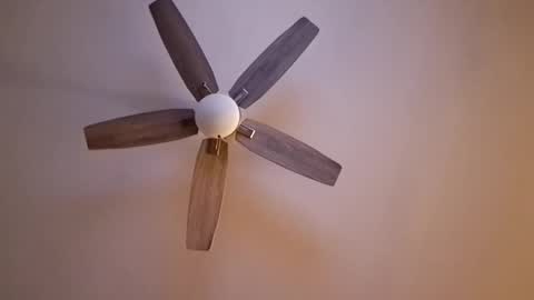 Snapshot of patrick247288 chatting on September 17, 2025, 4:47 am patrick247288 online show from September 17, 2025, 4:47 am