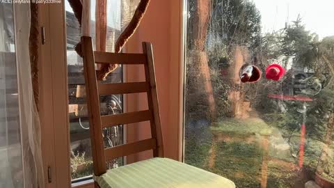 Andreea online show from March 16, 2026, 5:44 am